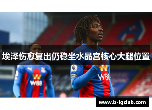 埃泽伤愈复出仍稳坐水晶宫核心大腿位置 埃泽伤愈复出仍稳坐水晶宫核心大腿位置