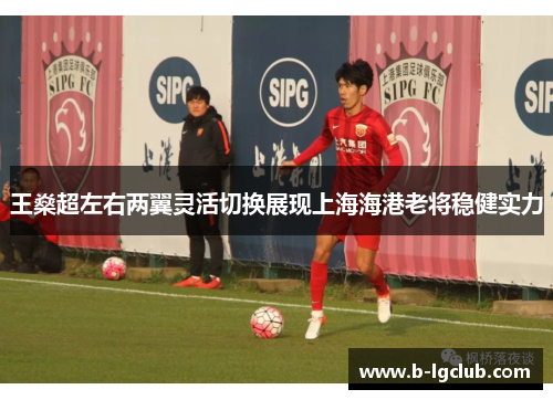 王燊超左右两翼灵活切换展现上海海港老将稳健实力