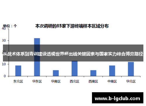 从战术体系到青训建设透视世界杯出线关键因素与国家实力综合博弈路径